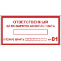 Наклейка EKF PROxima an-4 указательная с надписью Ответственный за пожарную безопасность, 200x100 мм