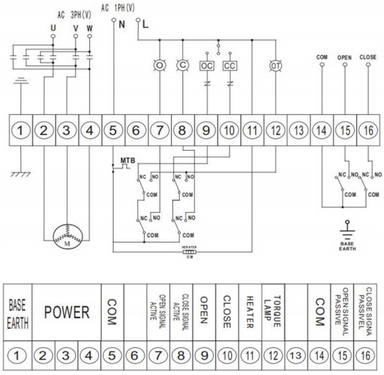 Электрическая схема подключения WCB-316L-VITON c DN.ru-EX 380В