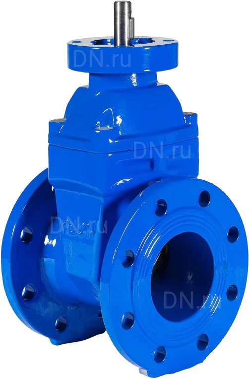 Изображение товара Задвижка клиновая Reon RSV02 Ду100 Ру16 фланцевая чугунная с обрезиненным клином