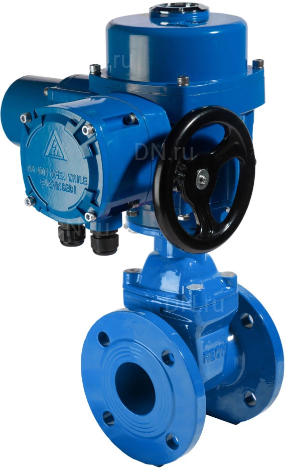 Изображение товара Задвижка клиновая Reon RSV61 Ду100 с электроприводом фланцевая