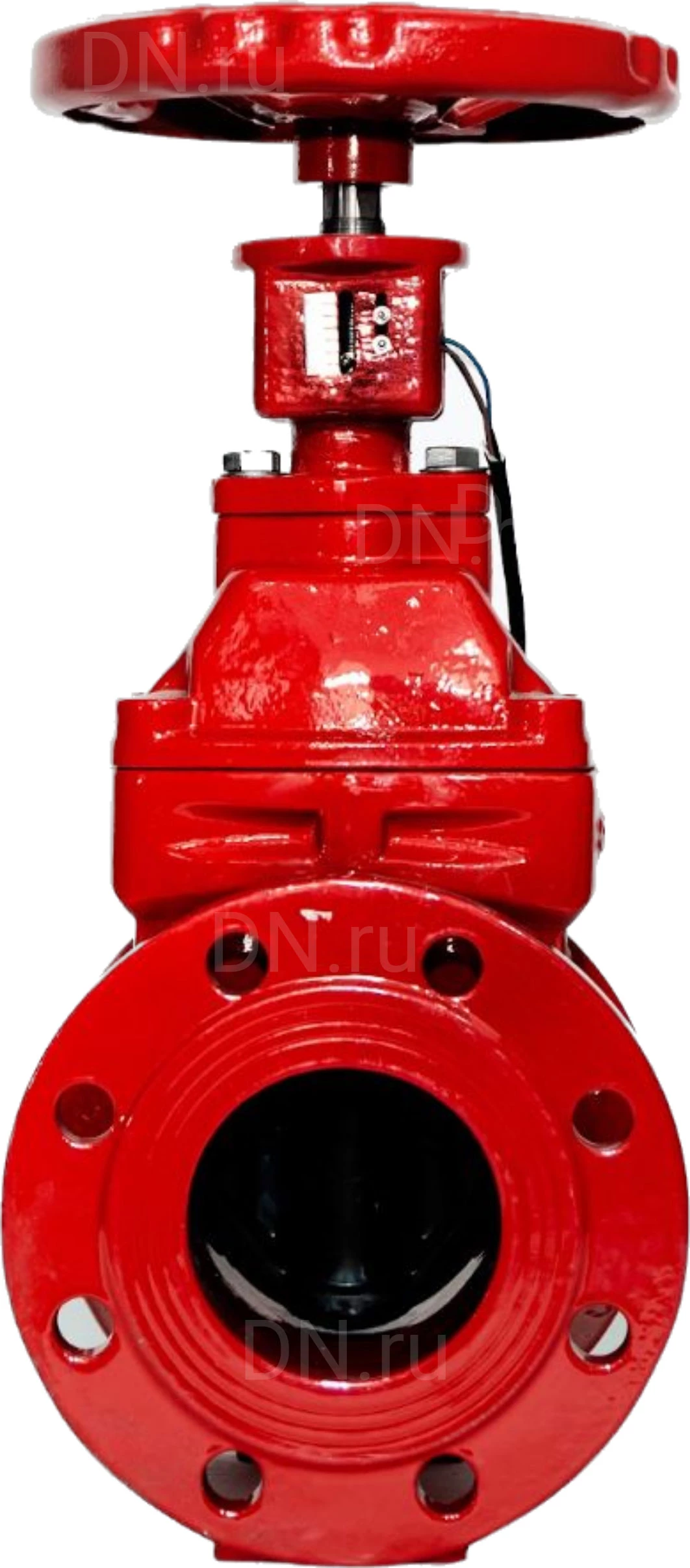 Изображение товара Задвижка клиновая Reon RSV62RED Ду100 Ру10/16 фланцевая с индикатором, чугун