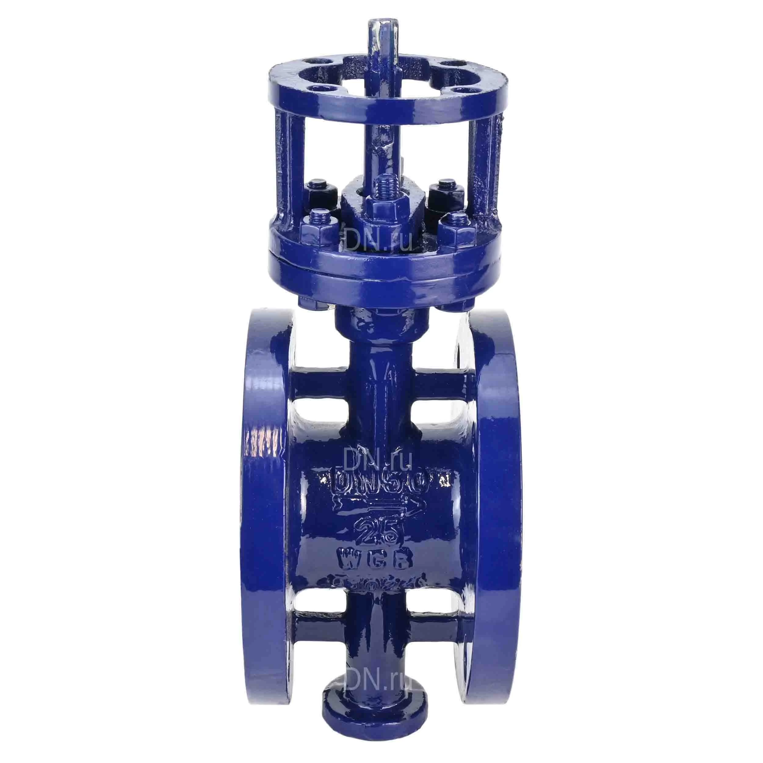 Изображение товара Затвор дисковый поворотный с тройным эксцентриситетом Ду65 Ру25 DN.ru