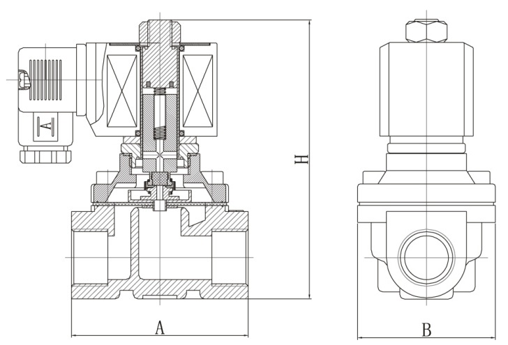 Клапаны электромагнитные соленоидные двухходовые DN.ru-DW21-SS316 прямого действия (НЗ) Ду10-50 (3/8-2 дюйм) Ру10, корпус - сталь 316, уплотнение - VITON, резьба G, с катушкой SD01B 220В
