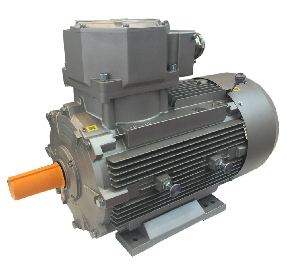 Электродвигатель взрывозащищенный ELDIN ВА 160 S6 мощность 11 кВт, частота вращения 1000 об/мин, 6 полюсов, монтажное исполнение IM1001, материал корпуса чугун
