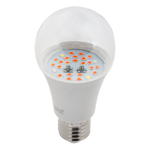 Лампы светодиодные ЭРА FITO-11W-Ra90-E27 для растений полного спектра, 60 мм, мощность - 11 Вт, цоколь - E27, цветовая температура - 6500 К, тип лампы - светодиодная LED, форма - грушевидная