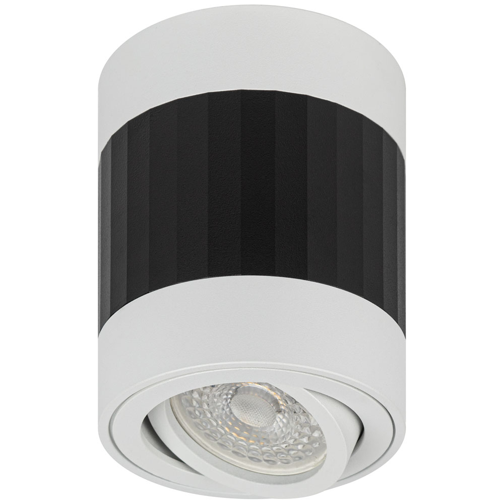 Светильник настенно-потолочный ЭРА OL34, цоколь GU10, под лампу MR16 до 12 Вт, цвет - черно-белый