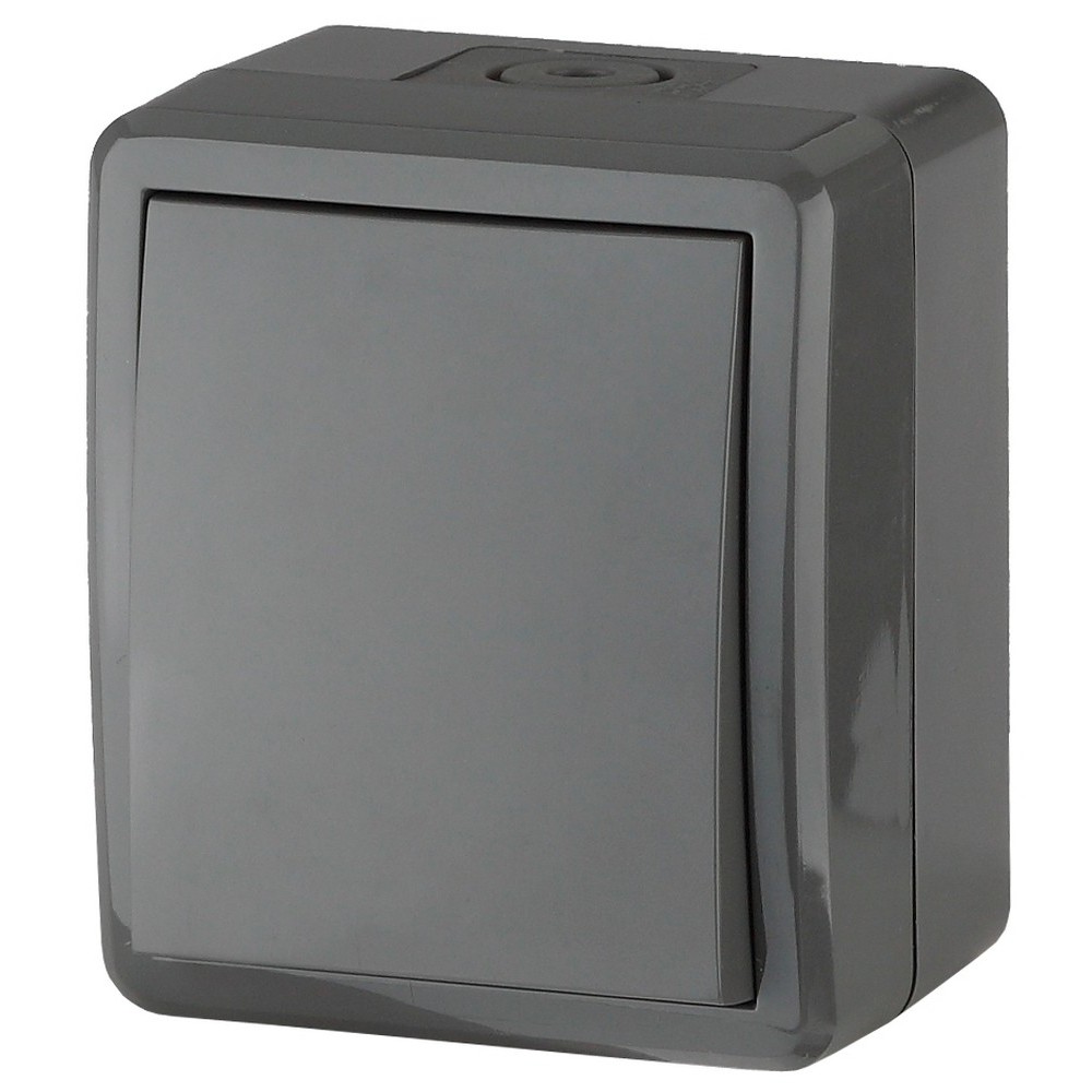 Выключатель одноклавишный ЭРА Эксперт 11-1401-03 открытой установки, номинальный ток - 10 А, степень защиты IP54, цвет - серый
