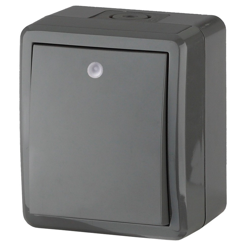 Выключатель одноклавишный ЭРА Эксперт 11-1402-03 открытой установки, с подсветкой, номинальный ток - 10 А, степень защиты IP54, цвет - серый