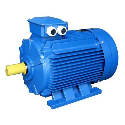 Электродвигатели общепромышленные ESQ 100 SDN 2-8 полюсов, мощность 0.75-4кВт, частота вращения 750-3000 об/мин, монтажное исполнение IM-B3