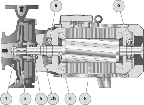 Насос консольно-моноблочный Pedrollo F 65/125 A, трезфазный, центробежный стандарта EN 743, номинальная мощность- p2 - 7.5 кВт, номинальный диаметр рабочего колеса - 125 мм, степень защиты - IP Х5, класс изоляции - F