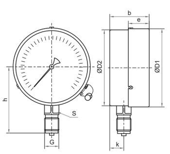 Манометры Росма ТМ-610Р кл.т.1 (16-60МПа) общетехнические 150 мм, радиальное присоединение,  класс точности 1.0