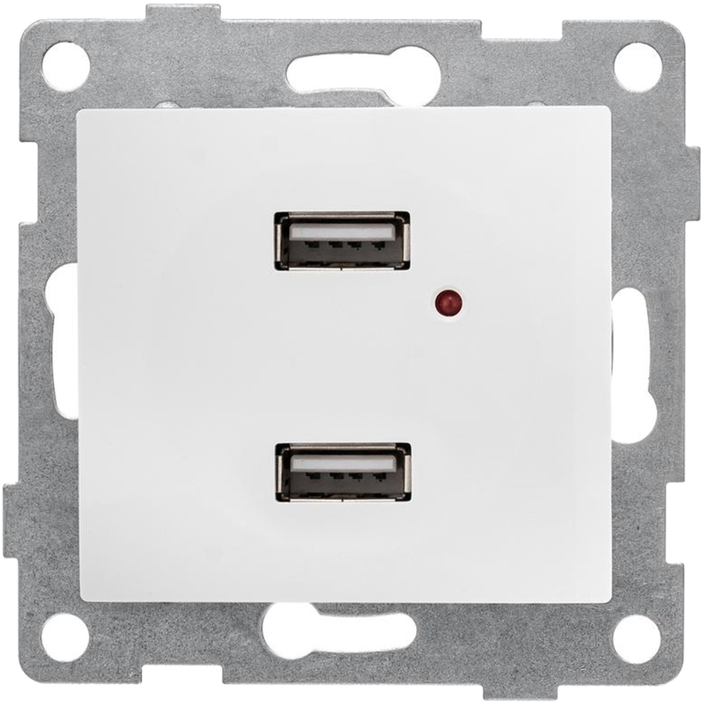 Розетка GUSI ELECTRIC Bravo USB 2-местная скрытой установки, механизм, цвет - белый