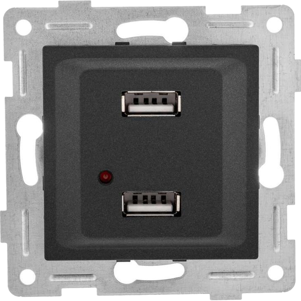 Розетка GUSI ELECTRIC Ugra USB 2-местная скрытой установки, цвет - графит