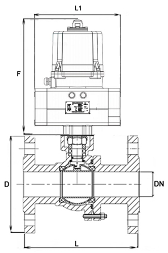 Кран шаровой DN.ru BV3232P(2pc)-FP-F-ISO-H Ду50 Ру40 полнопроходной, фланцевый, корпус - нержавеющая сталь SS316, уплотнение - PTFE, с электроприводом четвертьоборотным DN.ru QTSA-N-007EM-O0-220VAC с пружинным возвратом