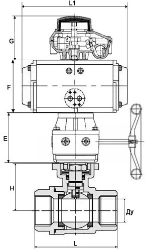 Кран шаровой DN.ru BV3232P(2pc)-FP-T-ISO-H Ду65 Ру40, внутренняя резьба, полнопроходной, нержавеющая сталь SS316, PTFE, с пневмоприводом PA-DA-083, пневмораспределителем 4V320-10 220В, БКВ APL-410N Ex, ручным дублером MON2-450-T28-ISO