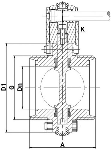 Затворы дисковые поворотные DN.ru WBV3131S-2W-T-H Ду15-100 Ру10 резьбовые, корпус - пищевая нержавеющая сталь AISI 304, диск - нержавеющая сталь AISI 304, уплотнение - Silicon, с электроприводом четвертьоборотным DN.ru QTSA-N-EM-O0-220VAC
