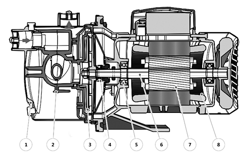 Насос самовсасывающий FANCY FJ81C Ду25x25 Ру6 моноблочный трехфазный, мощность - 0.6 кВт, номинальный напор - 22 м, производительность - 2.4 м3/ч, мм, корпус - нержавеющая сталь