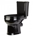 Изображение товара Унитаз-компакт Оскольская Керамика Ирида Стандарт черный (арматура, гофра и сиденье, горизонтальный выпуск)