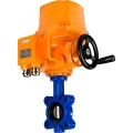 Изображение товара Затвор дисковый поворотный DN.ru WBV1631E-2W-Fb-H Ду100 Ру16 LUG межфланцевый, корпус - чугун QT450, диск - нержавеющая сталь 304, уплотнение - EPDM, с электроприводом DN.ru QT-EX-010EM-O2-220VAC-У1 220В