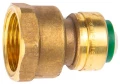 Изображение товара Муфта для труб из PEX Arrowhead Push 1/2″ Дн20 Ру16 присоединение - внутренняя резьба / пресс, корпус - бессвинцовая латунь