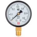 Изображение товара Манометр радиальный BD ДМ 1 Т2 160 Р 0-0.06 МПа осевое присоединение