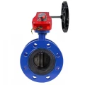 Изображение товара Затвор дисковый поворотный DN.ru WBV1313E-2W-F-H Ду65 Ру16 с редуктором