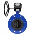 Изображение товара Затвор дисковый поворотный DN.ru WBV1313E-2W-F-H Ду65 Ру16 с редуктором