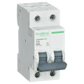 Изображение товара Автоматический выключатель двухполюсный Systeme Electric City9 Set 2Р 40А (С) 4.5кА, сила тока 40 А, тип расцепления С, переменный, отключающая способность 4.5 kА