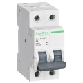 Изображение товара Автоматический выключатель однополюсный Systeme Electric City9 Set 2P 6А (B) 4.5кА, сила тока 63А, тип расцепления B, переменный, отключающая способность 4.5 kА
