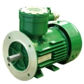 Изображение товара Взрывозащищенный электродвигатель АИМЛ 112МA6 3 кВт 1000 об/мин взрывозащита 1ExdIIВT4