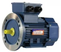 Изображение товара Электродвигатель Элком 5АИ 63А4GU-IM2081-0.25-1500 трехфазный, монтажное исполнение IM2081, мощность 0.25 кВт, частота вращения ~ 1500 об/мин, корпус - алюминий