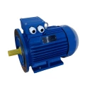 Изображение товара Электродвигатель ЭМШ ВА 100L6У2-IM1081-2.2-935-1ExdIIBT4 трехфазный, монтажное исполнение IM1081, мощность 2.2 кВт, частота вращения ~ 935 об/мин, исполнение по взрывозащите 1ExdIIBT4, климатическое исполнение У2