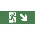 Изображение товара Самоклеящаяся этикетка для обозначения выхода 200x60 мм зеленая ЭРА INFO-DBA-006