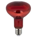 Изображение товара Лампа инфракрасная ЭРА ИКЗК 230-100 R95 для обогрева животных и освещения, 135мм, мощность - 100Вт, цоколь - E27, тип лампы - накаливания, форма - рефлекторная, цвет - красный