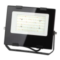Изображение товара Прожектор светодиодный ЭРА FITO-50W-Ra90-LED для растений, мощность - 50 Вт, цветовая температура - 4000 К, тип лампы - светодиодная LED, материал корпуса - сталь