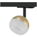 Изображение товара Светильник трековый однофазный ЭРА TR46-GX53 MG под лампу GX53 матовый, цвет - золото Б0054154