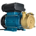 Изображение товара Насос центробежно-вихревой ESPA DOIL 20 поверхностный, корпус - медный сплав, мощность - 0.47кВт, напор - 27м, производительность - 32л/мин, 220В