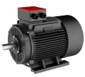 Изображение товара Электродвигатель FANCY YE3-315M-2 132 кВт 2978 об/мин чугун корпус Китай