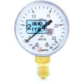 Изображение товара Манометр ФИЗТЕХ МП2-Уф 0-25 МПа радиальный