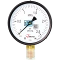Изображение товара Манометр ФИЗТЕХ МП3-Уф 0-2.5 МПа IP40 радиальный 100мм