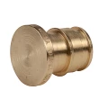 Изображение товара Заглушка радиальная Giacomini GX165 Дн20 Ру10 для труб из сшитого полиэтилена, материал корпуса- латунь