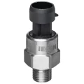 Изображение товара Датчик давления IECON для жидкости 1/4″ давление до 10 бар, корпус - нержавеющая сталь, провод - 1м, IP65