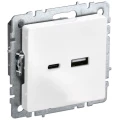 Изображение товара Розетка USB IEK Brite РЮ11-1-БрБ для скрытого монтажа белая 18 Вт