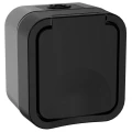 Изображение товара Розетка IEK Tors TS120 1-местная открытой установки с заземлением со шторками и крышкой, номинальный ток - 16 А, степень защиты IP55, цвет - графит
