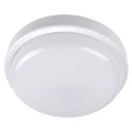Изображение товара Светильник светодиодный JazzWay Банник ЖКХ ДБП PBH-PC2-RA IP65 8 Вт 4000 К круг белый