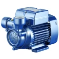 Изображение товара Насос вихревой Pedrollo PQm 60 поверхностный, корпус - чугун, мощность - 0.37кВт, напор - 40м, производительность - 40л/мин, 220В