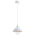 Изображение товара Подвесной светильник Rivoli Amelia 5136-201 40 Вт для интерьера лофт и кантри