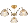 Изображение товара Люстра потолочная Rivoli Terri 40 Вт, количество ламп - 3, цоколь - E27, лайт Б0060988