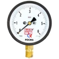 Изображение товара Манометр Росма ТМ-510Р.00 IP54 0-0.06МПа М20х1.5 100мм радиальный корпус