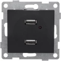 Изображение товара Розетка GUSI ELECTRIC Bravo USB 2-местная скрытой установки, механизм, цвет - графит